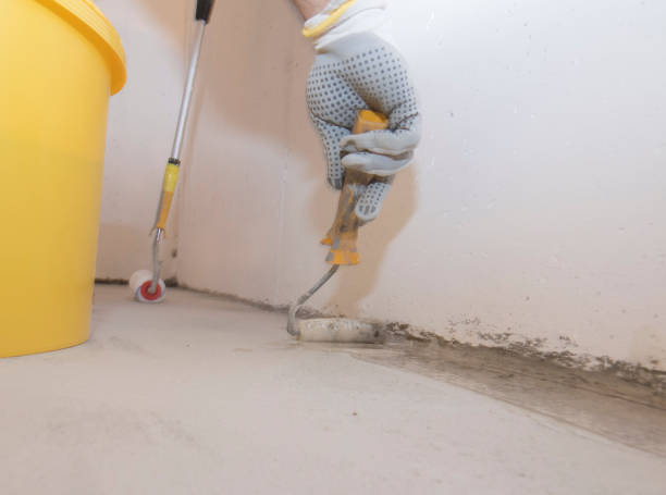 Best Fumigation Services  in Dyer, IN